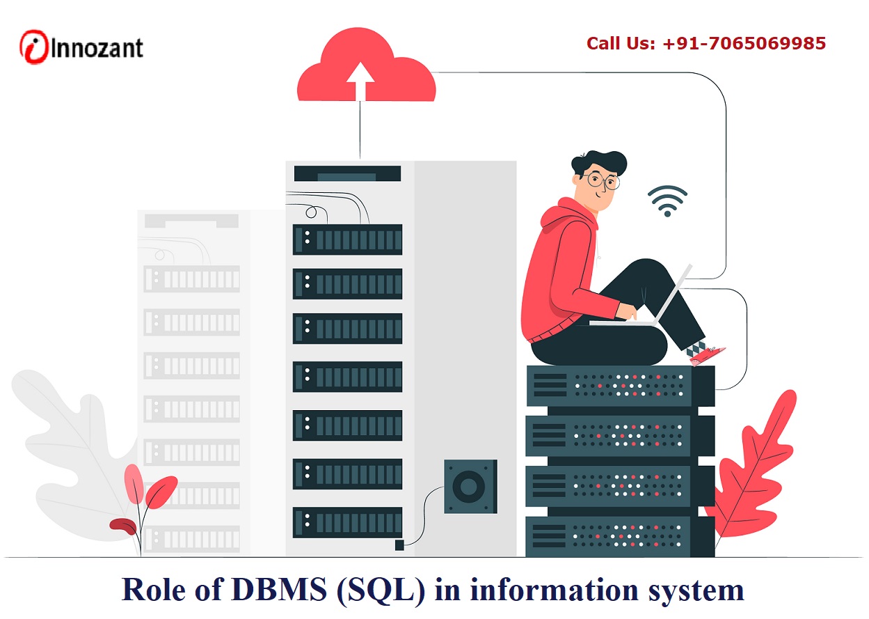 Role of DBMS