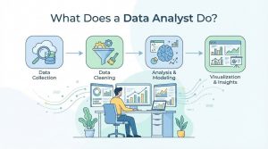 What Does a Data Analyst Do